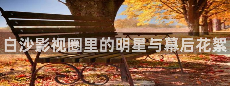 木瓜视频vip号：白沙影视圈里的明星与幕后花絮