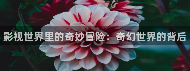 木瓜影视免费：影视世界里的奇妙冒险：奇幻世界的背后