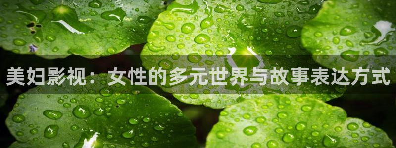 木瓜电影福利网：美妇影视：女性的多元世界与故事表达方式