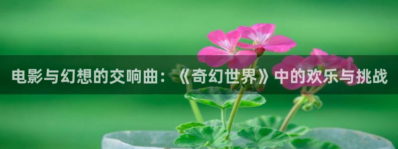 木瓜木瓜：电影与幻想的交响曲：《奇幻世界》中的欢乐与挑战
