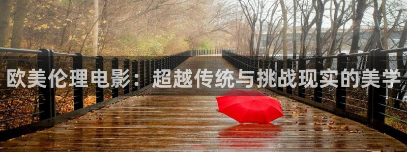 911木瓜影院：欧美伦理电影：超越传统与挑战现实的美学