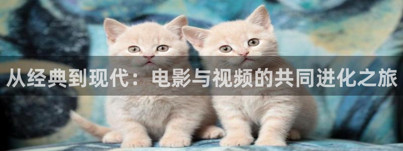 木瓜伦理片：从经典到现代：电影与视频的共同进化之旅