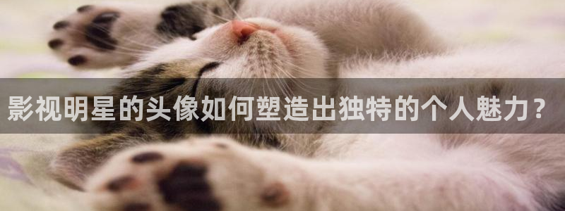 木瓜影视在线：影视明星的头像如何塑造出独特的个人魅力？