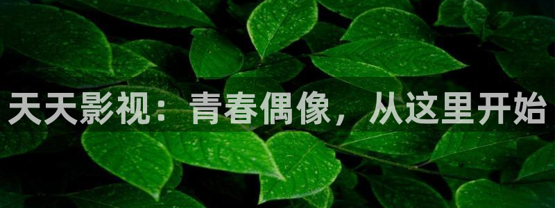 木瓜伦理影院：天天影视：青春偶像，从这里开始