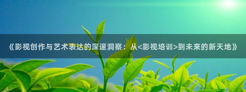 木瓜理论影院：《影视创作与艺术表达的深邃洞察：从<影视培训>到未来的新天地》