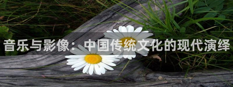 木瓜影视在线免费观看：音乐与影像：中国传统文化的现代演绎
