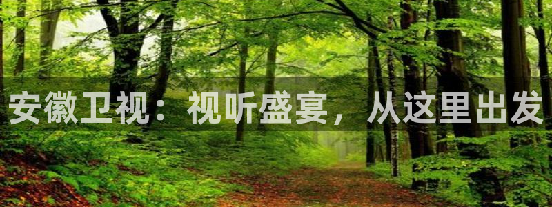 木瓜视野频：安徽卫视：视听盛宴，从这里出发